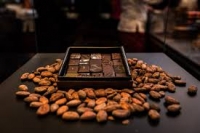 In arrivo la seconda edizione de “Il Salon du Chocolat”