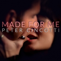 Arriva in radio &quot;Made for me&quot;, il nuovo singolo di Peter Cincotti