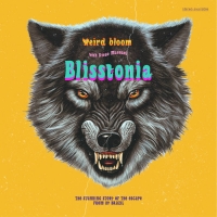 Blisstonia: il nuovo album del duo romano Weird Bloom